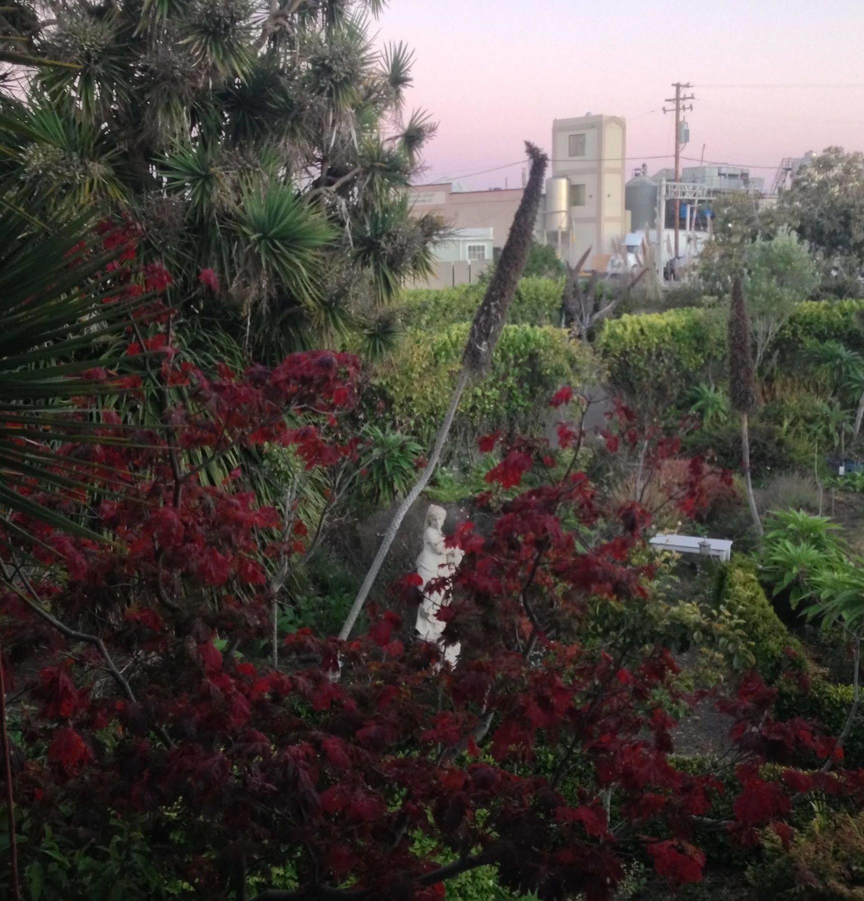 Weller House Inn Fort Bragg Esterno foto